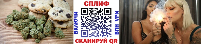 ОМГ ОМГ ТОР  Шахунья  Canna-Cookies марихуана  продажа наркотиков 