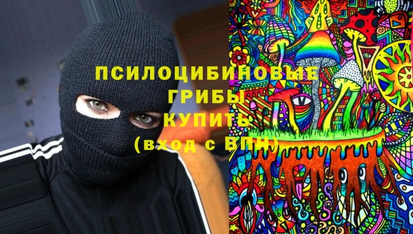 стафф Алексин