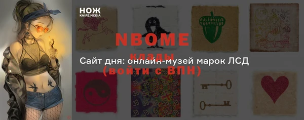 стафф Алексин