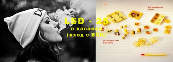 стафф Алексин