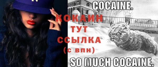 стафф Алексин
