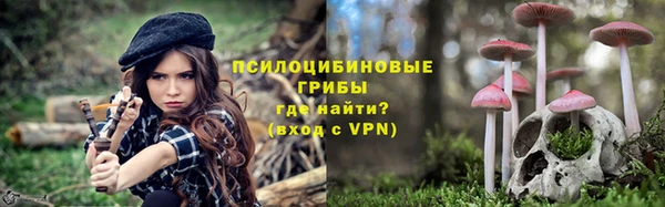 молекула духа Абинск