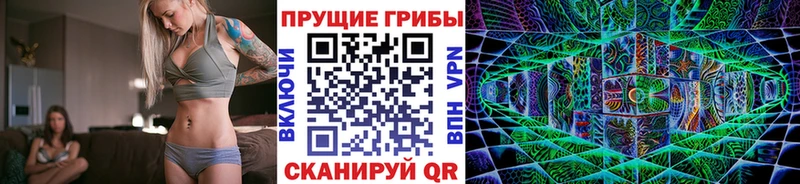 купить наркотик Шахунья Псилоцибиновые грибы Psilocybe